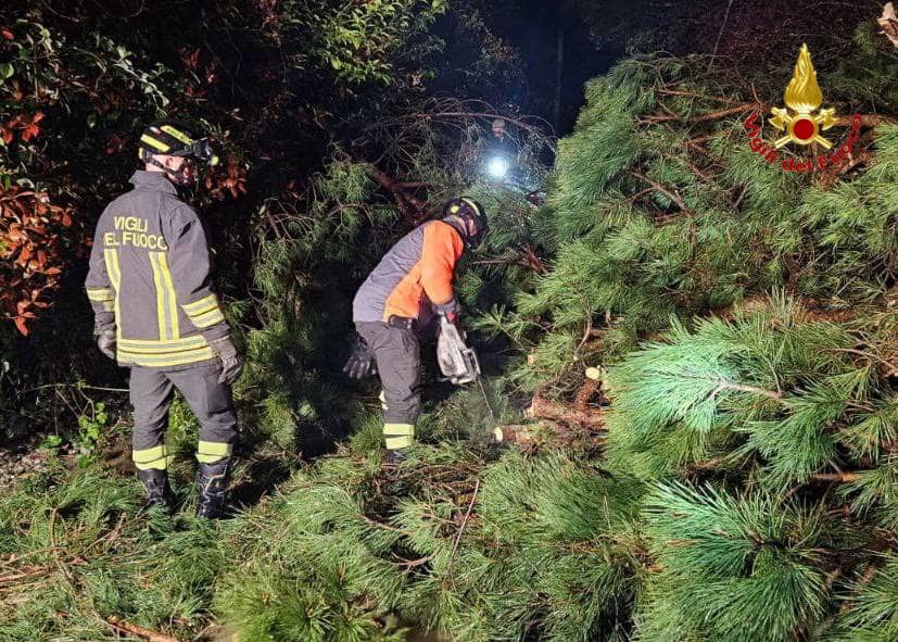 maltempo lombardia albero vigili fuoco