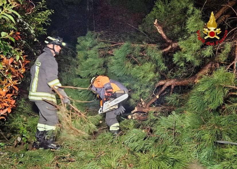 maltempo lombardia albero vigili fuoco