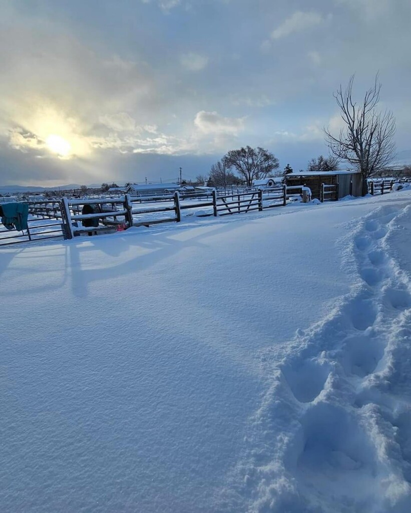 neve california sierra nevada