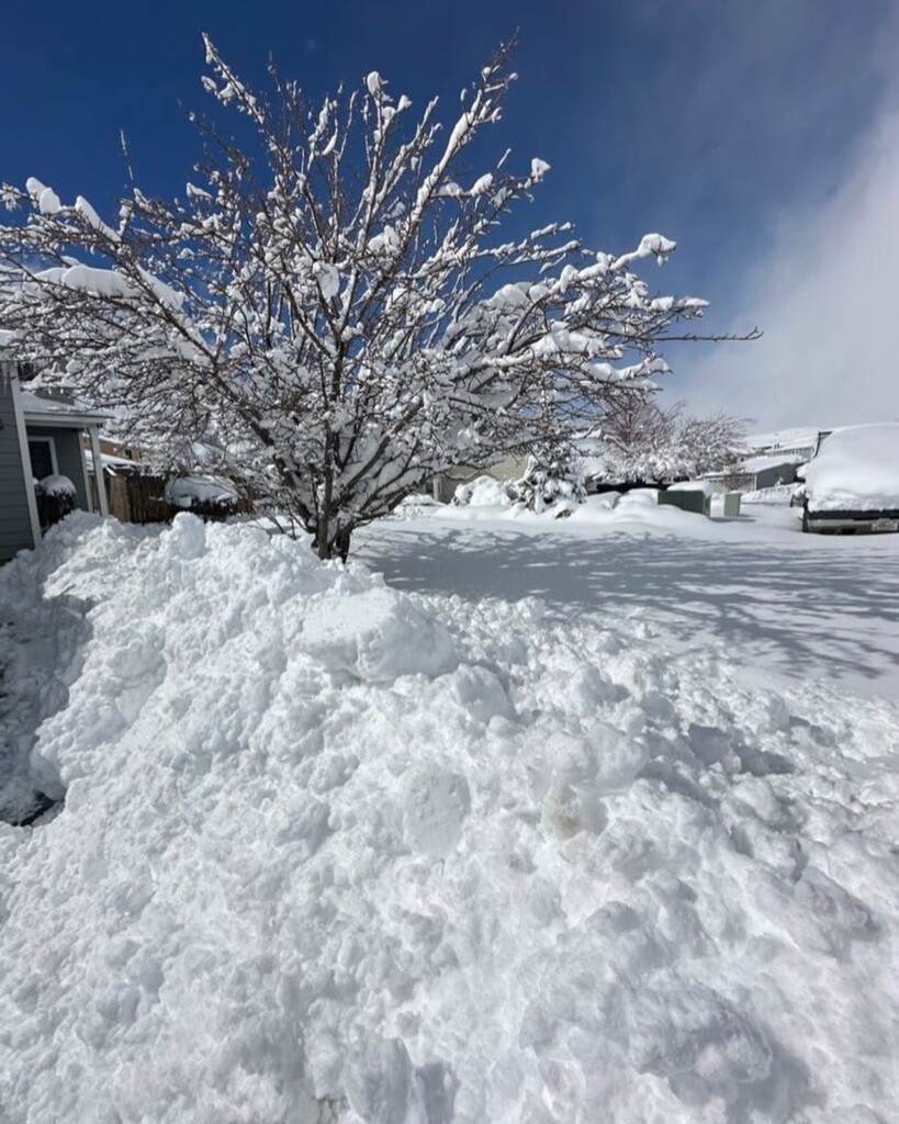 neve california sierra nevada