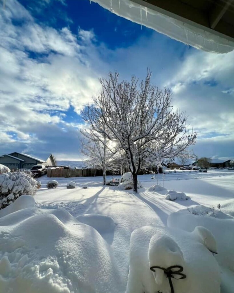 neve california sierra nevada