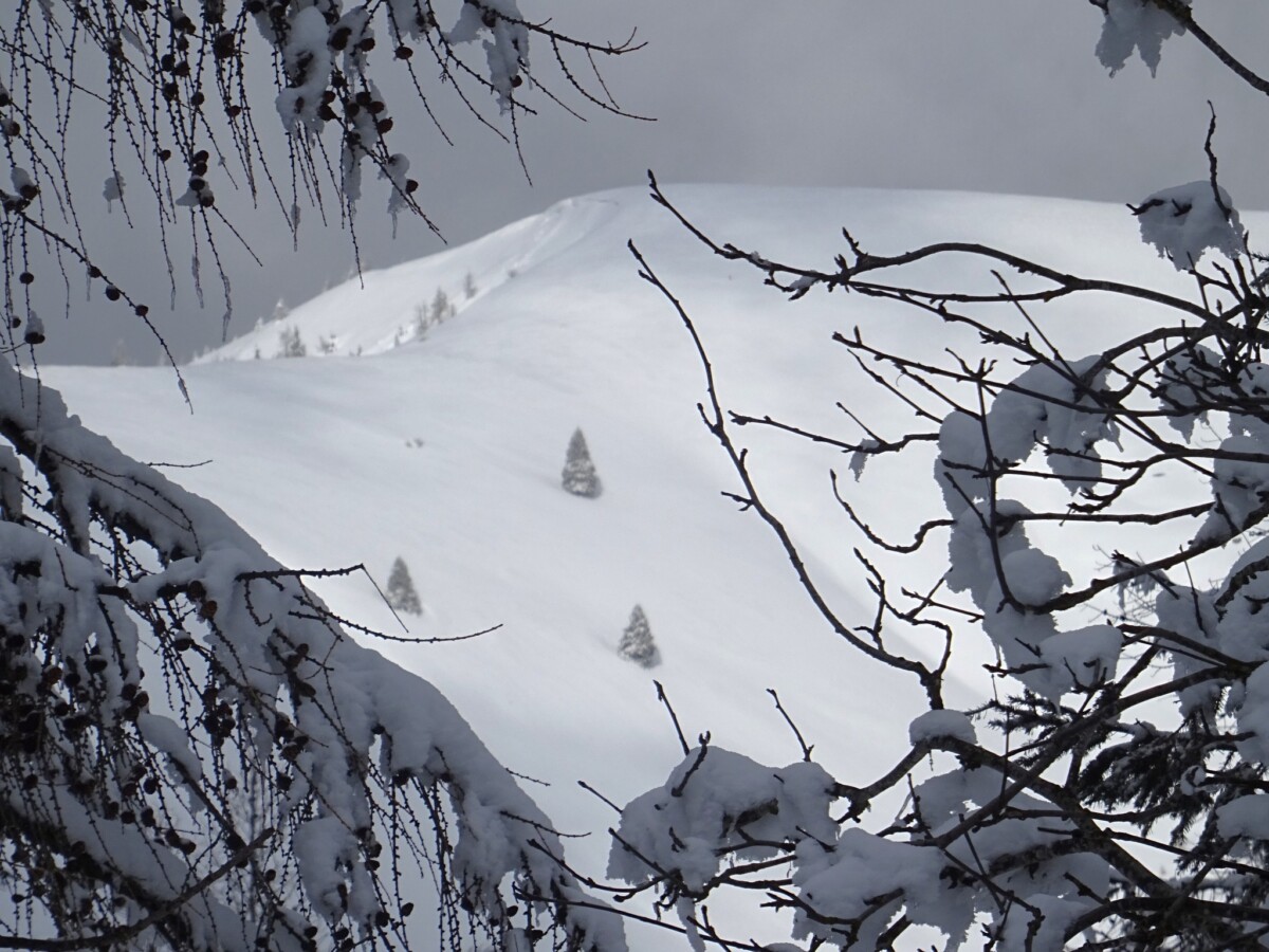 neve monte pasubio veneto