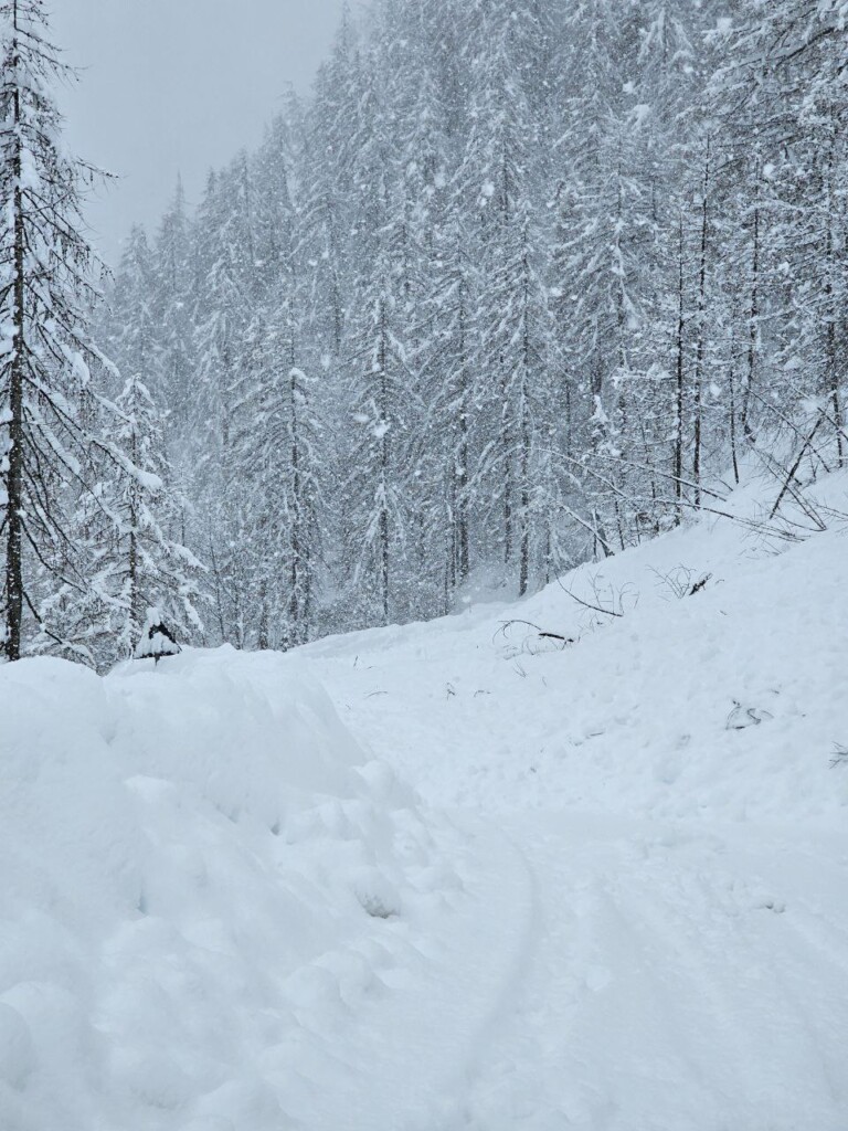 neve piemonte 10 marzo 2024