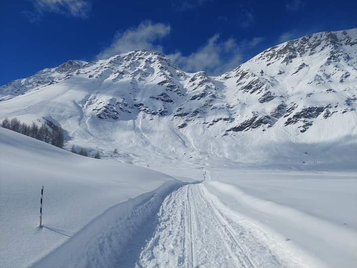 neve piemonte 10 marzo 2024