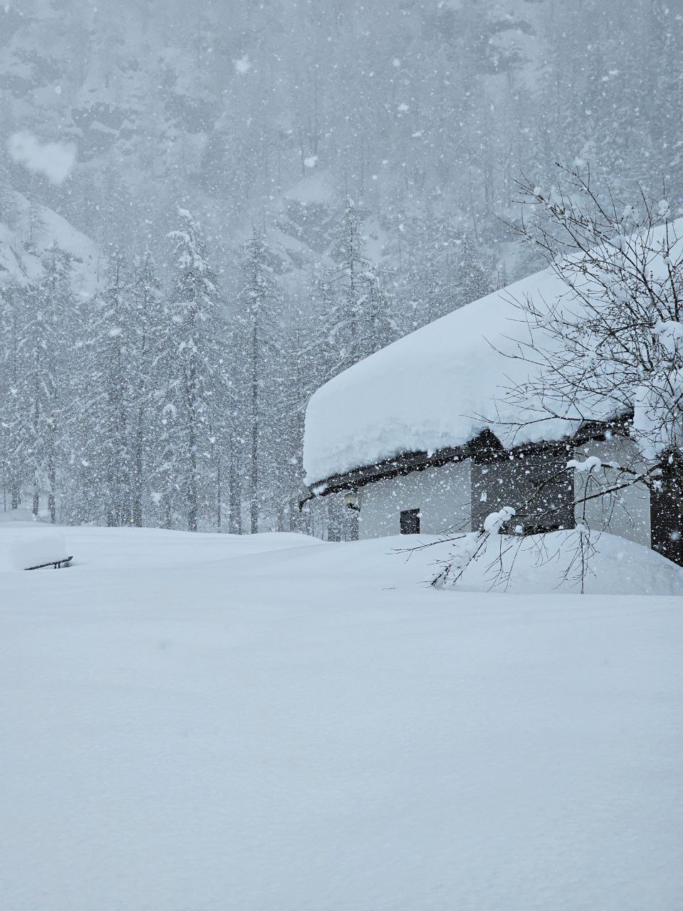 neve piemonte 10 marzo 2024