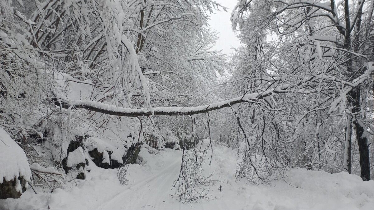 neve piemonte