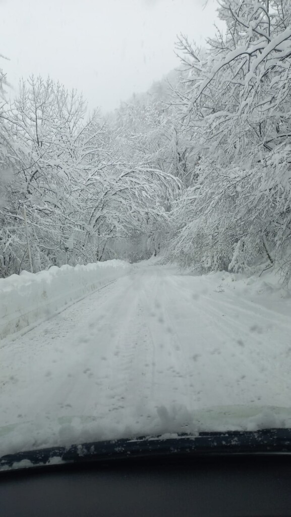 neve piemonte