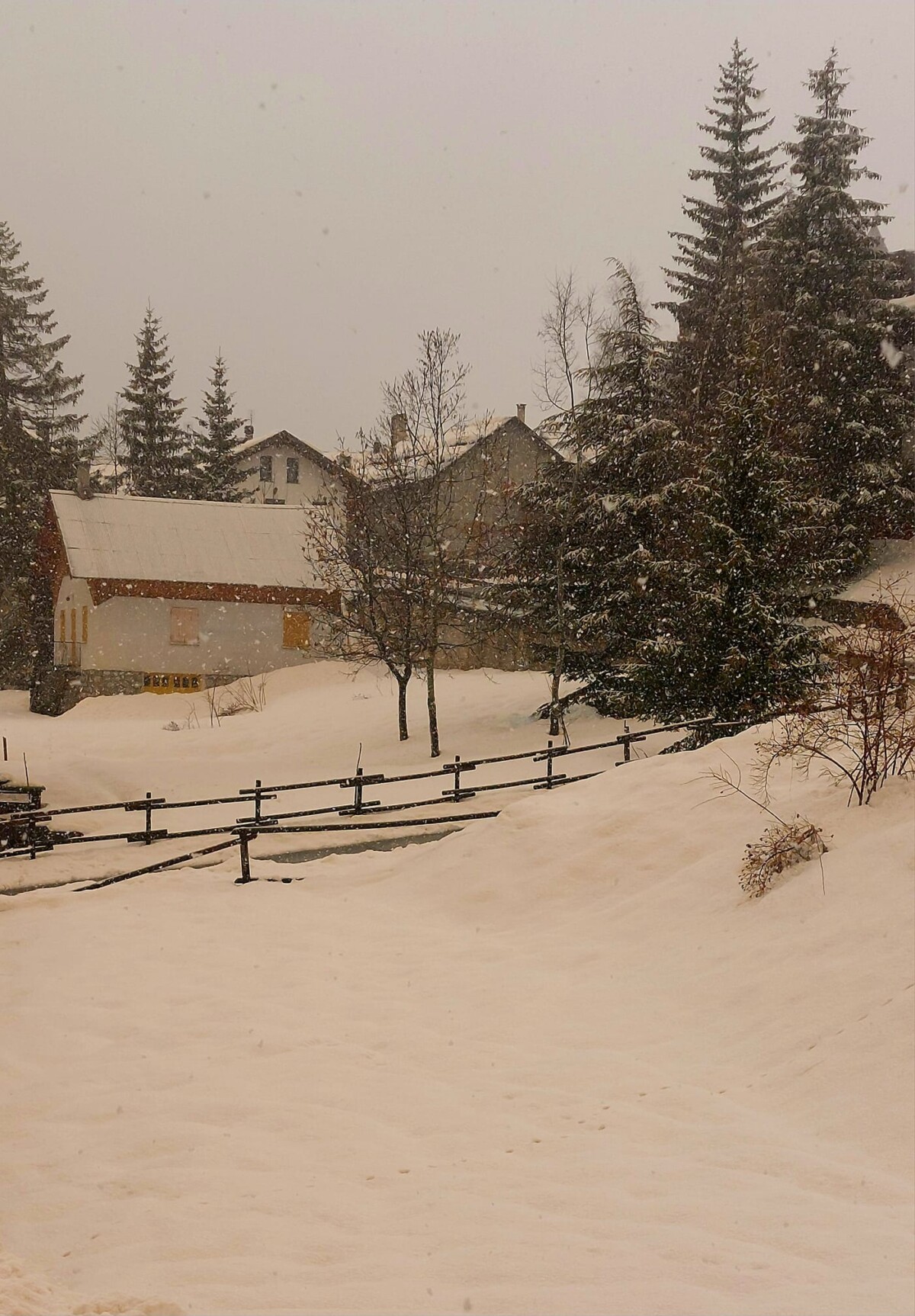 neve sabbia sahara piemonte