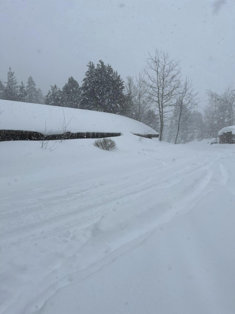 neve sierra nevada california