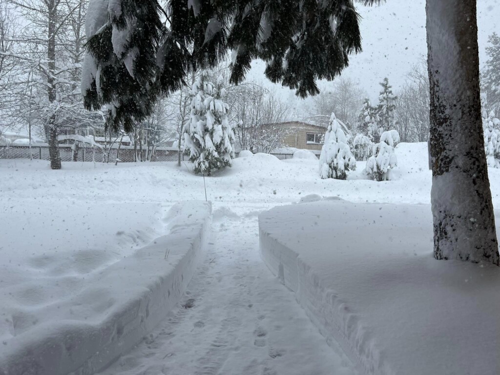 neve sierra nevada california