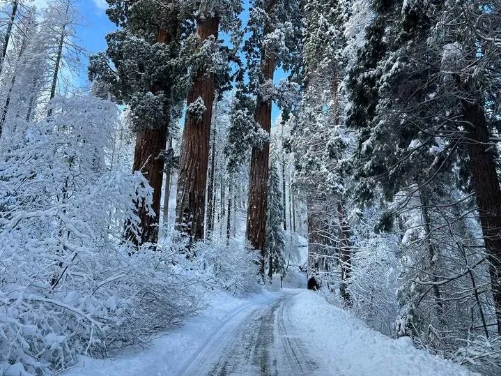 neve sierra nevada california