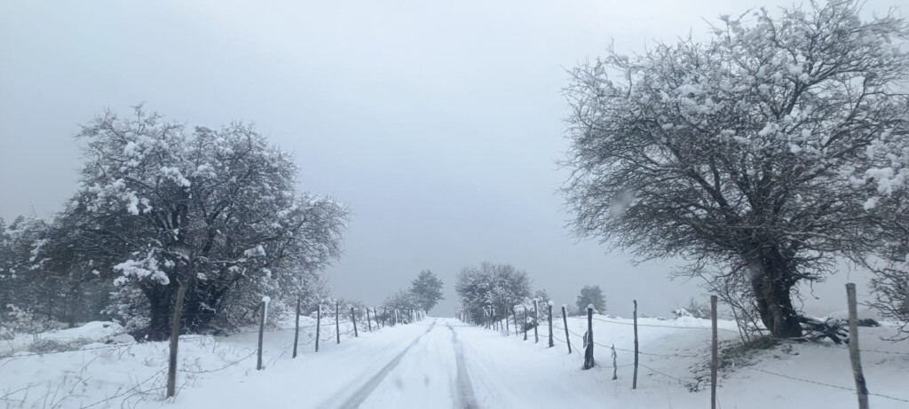 neve sila 12 marzo 2024