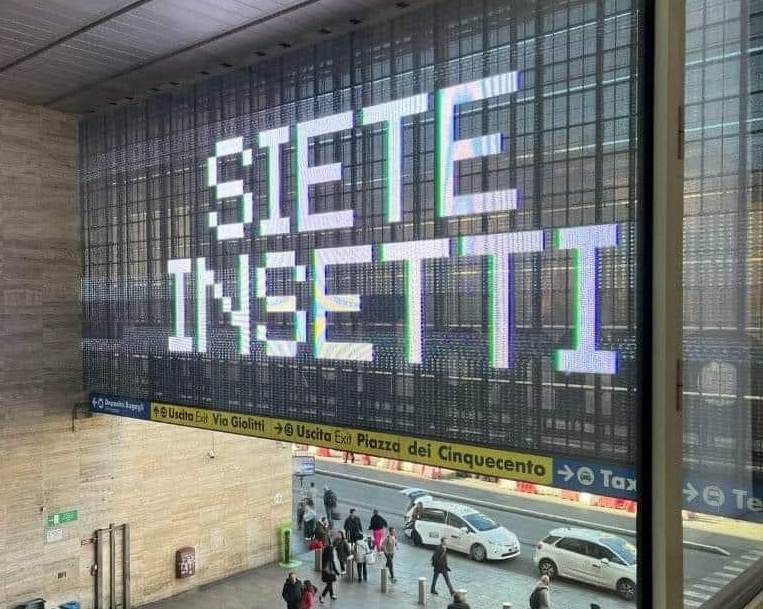 siete insetti