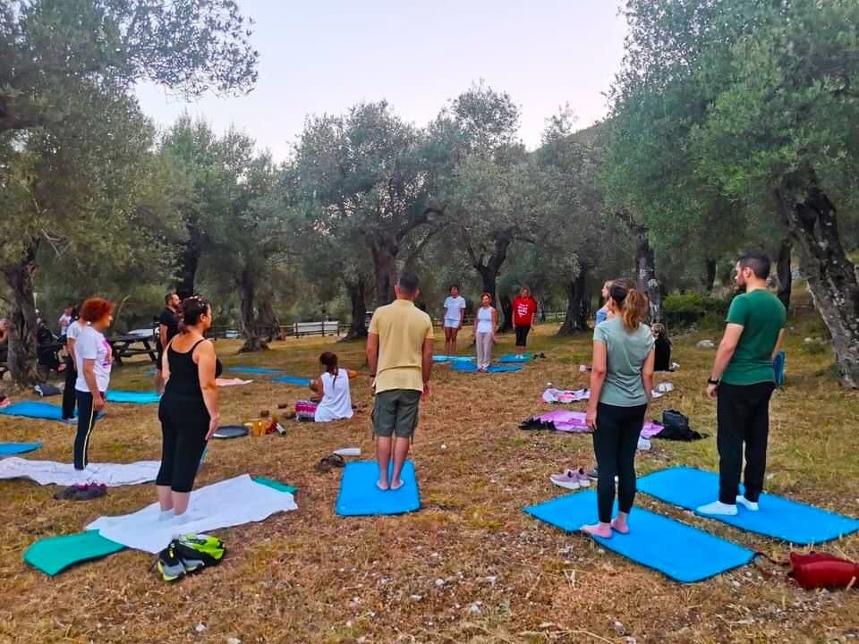 Yoga nell'oliveta