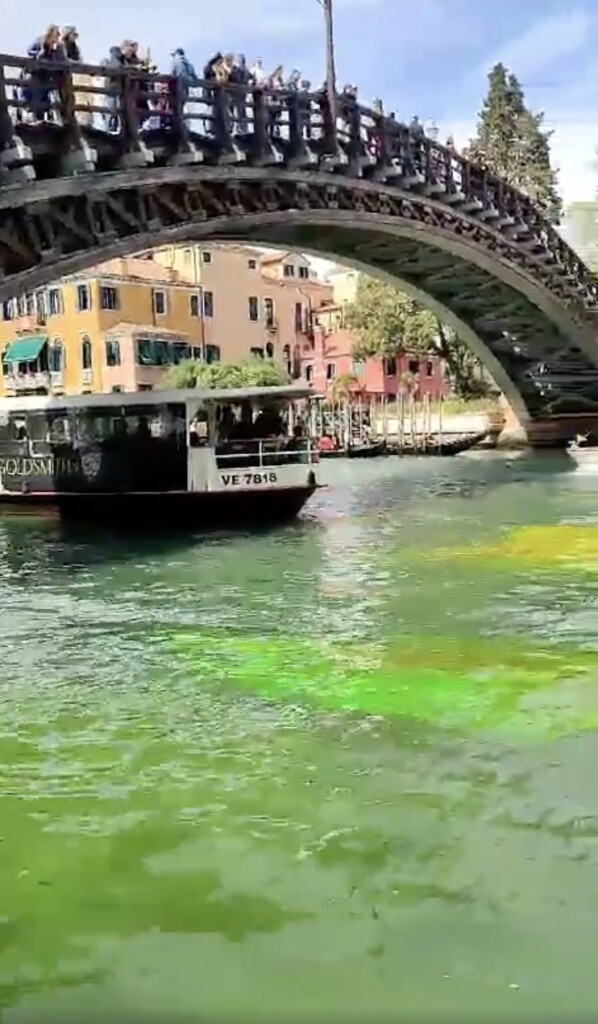 extinction rebellion venezia