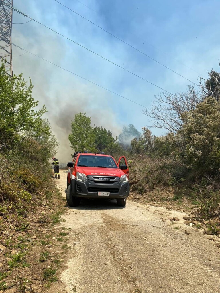 incendi calabria 14 aprile 2024