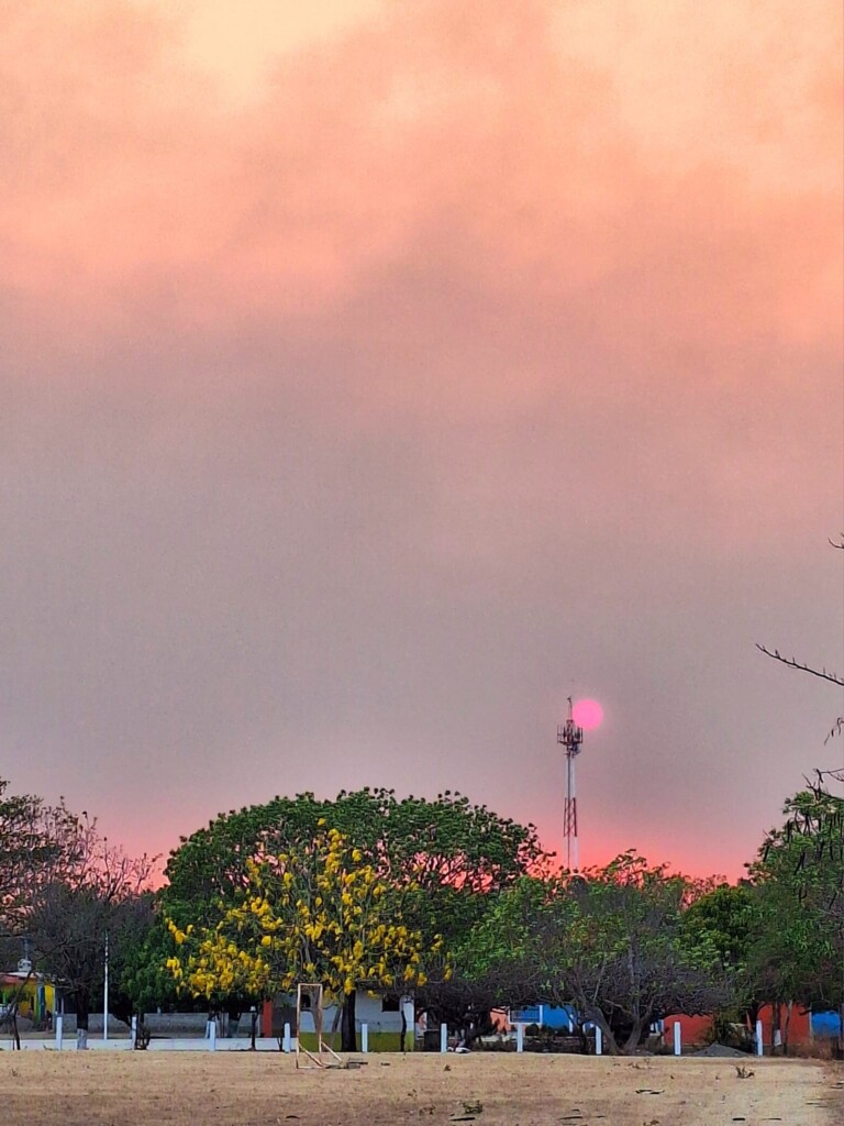 incendio oaxaca messico