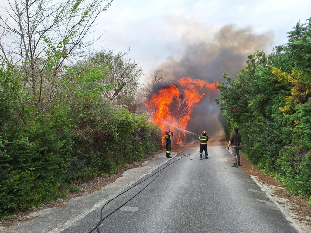 incendio peschici