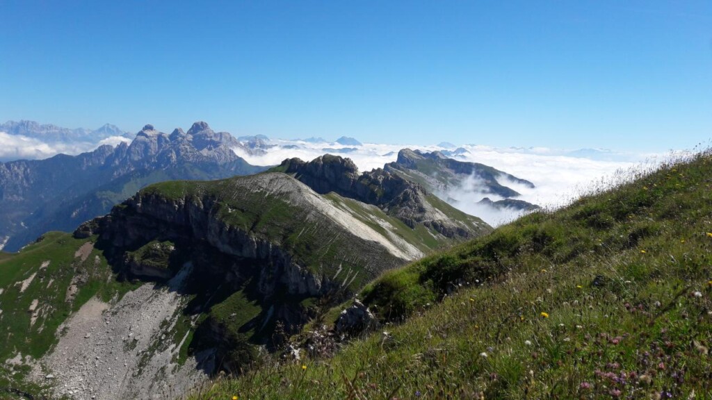 licheni dolomiti dolichens