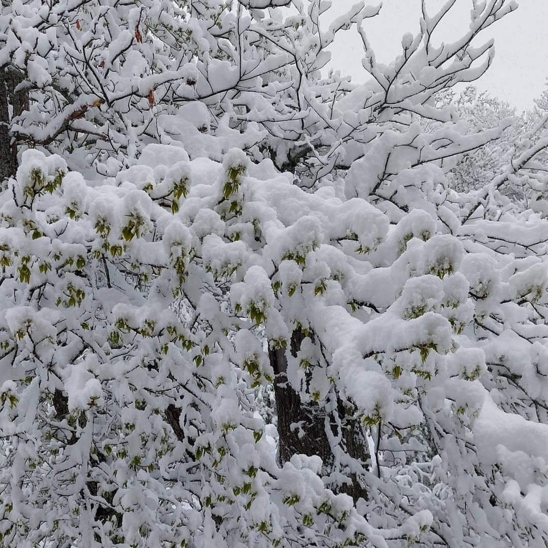 neve appennino parmense