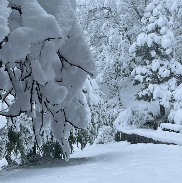 neve appennino parmense