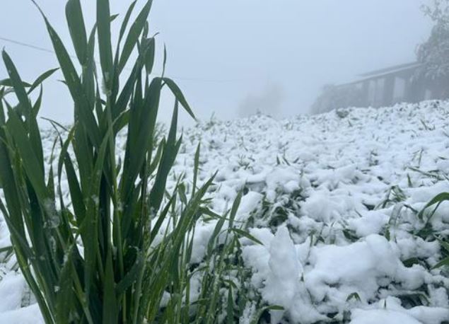 neve colline piacentine