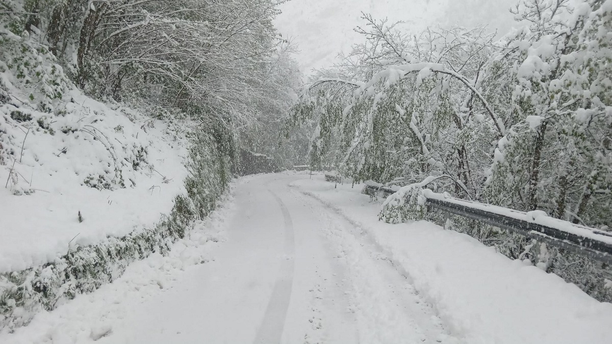 neve oggi appennino emiliano