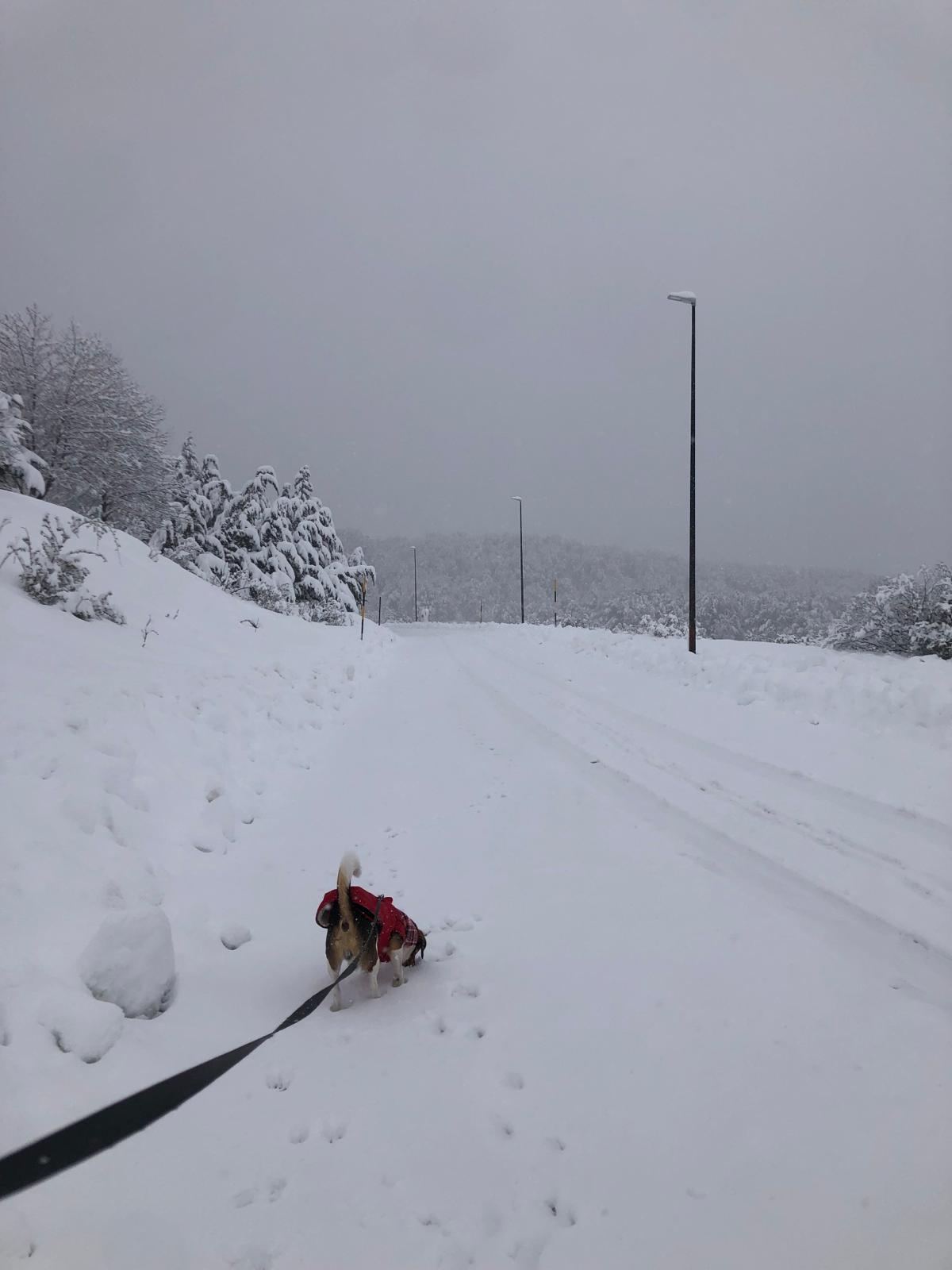 neve prati di tivo