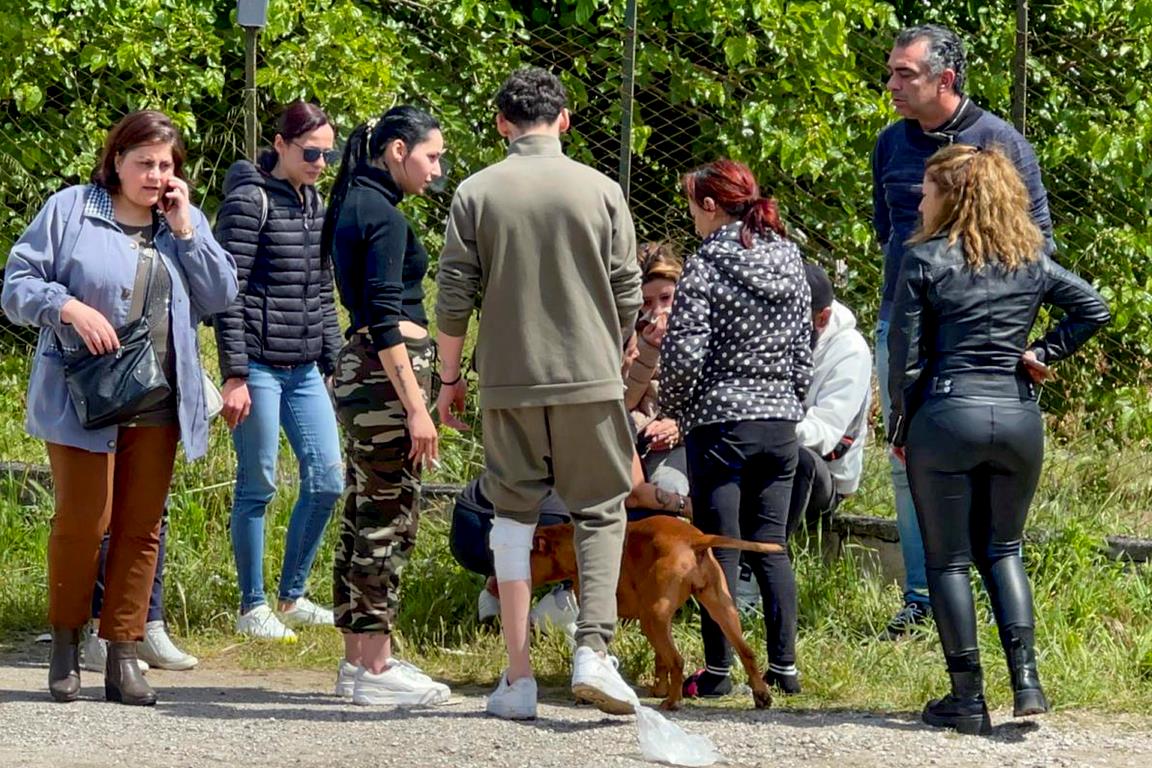 pitbull salerno eboli bambino attacco