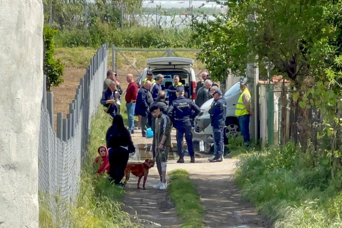 pitbull salerno eboli bambino attacco