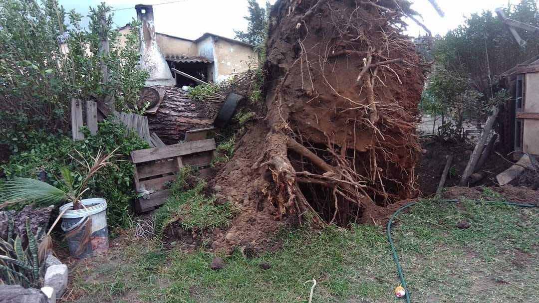 tempesta vento sudafrica