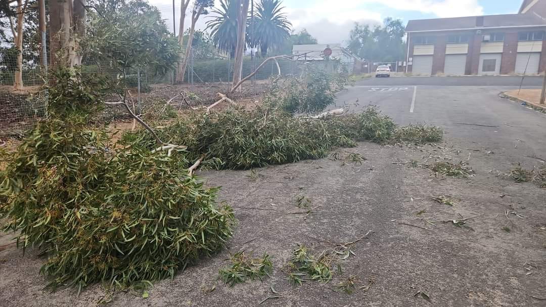 tempesta vento sudafrica