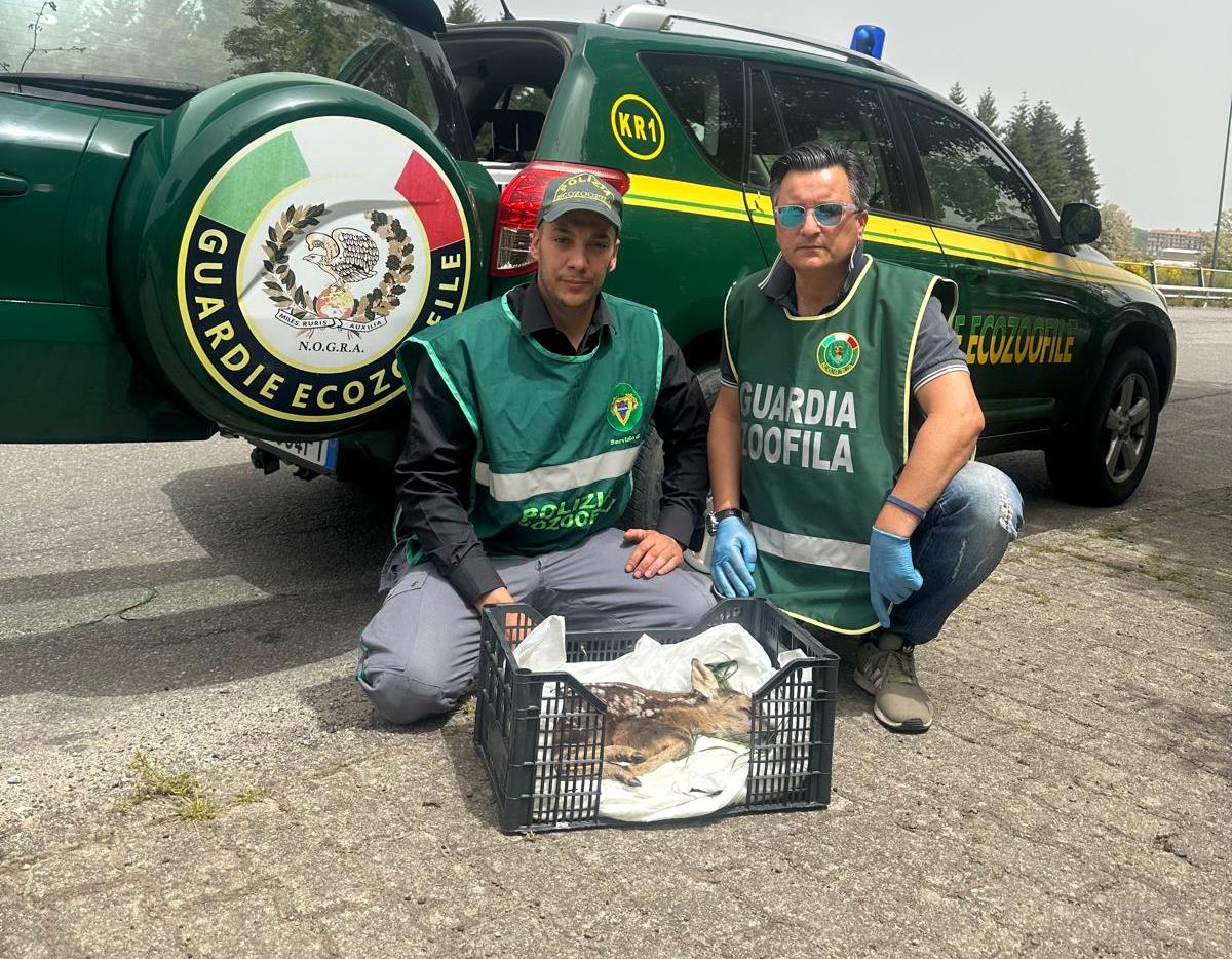 Polizia Provinciale cosenza sila