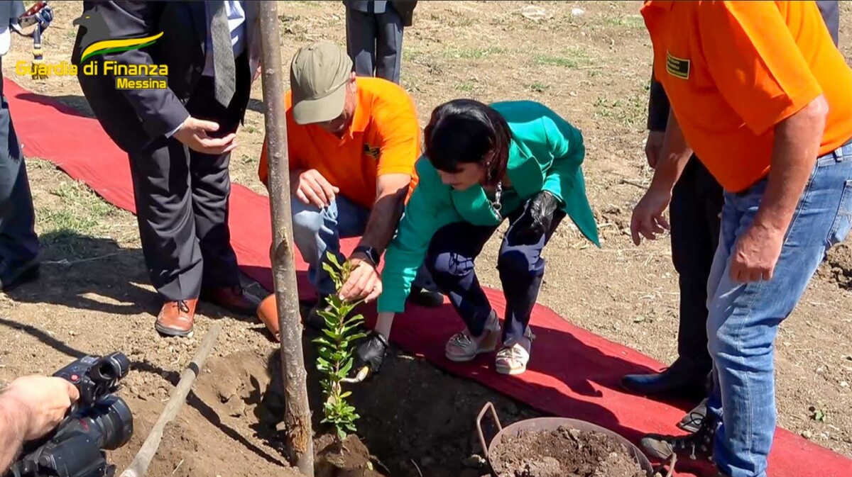 alberi Riserva Naturale “Laghetti di Marinello”