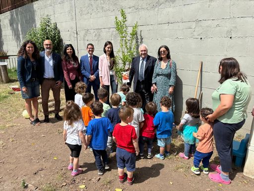 albero melograno tumori pediatrici