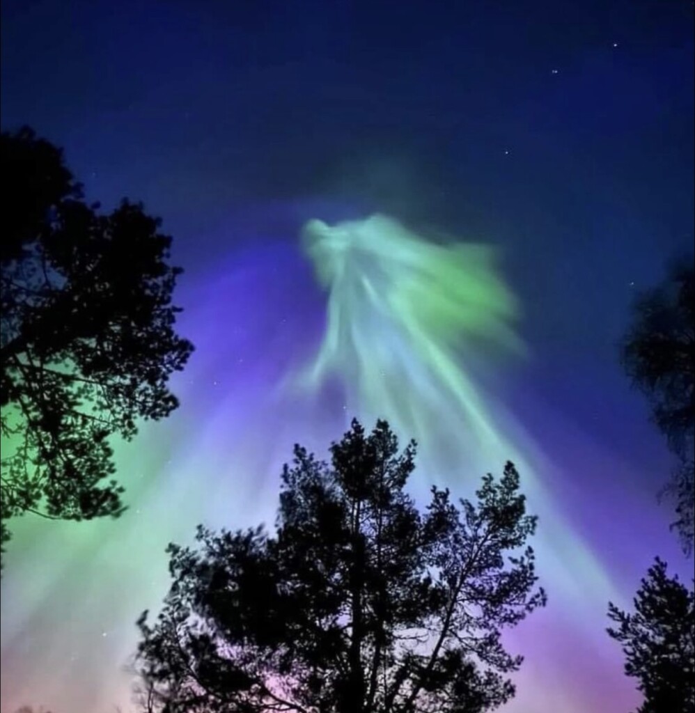 aurora boreale estonia