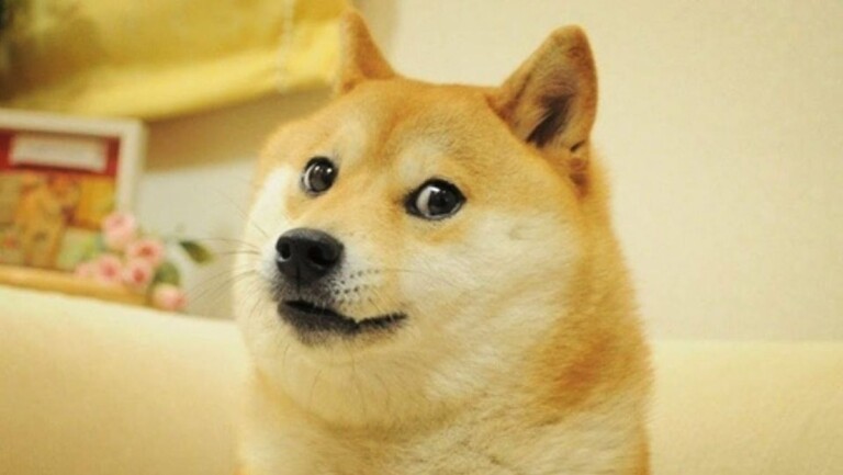 cane shiba meme Dogecoin