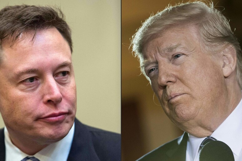 elon musk e donald trump