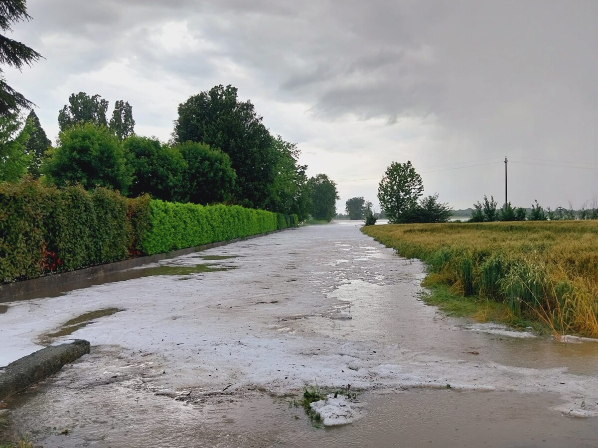 grandine agugliaro veneto