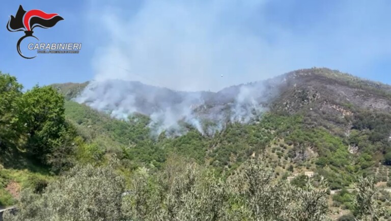 incendi boschivi presila