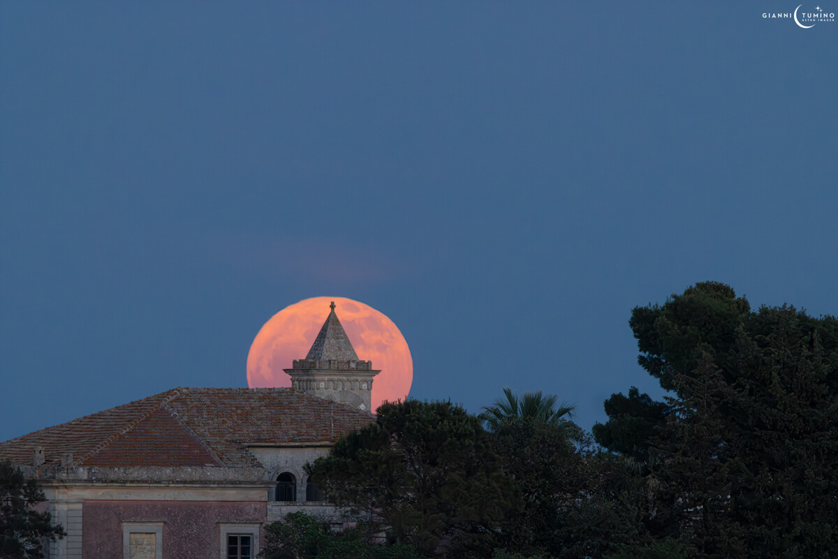 luna fiori sicilia modica