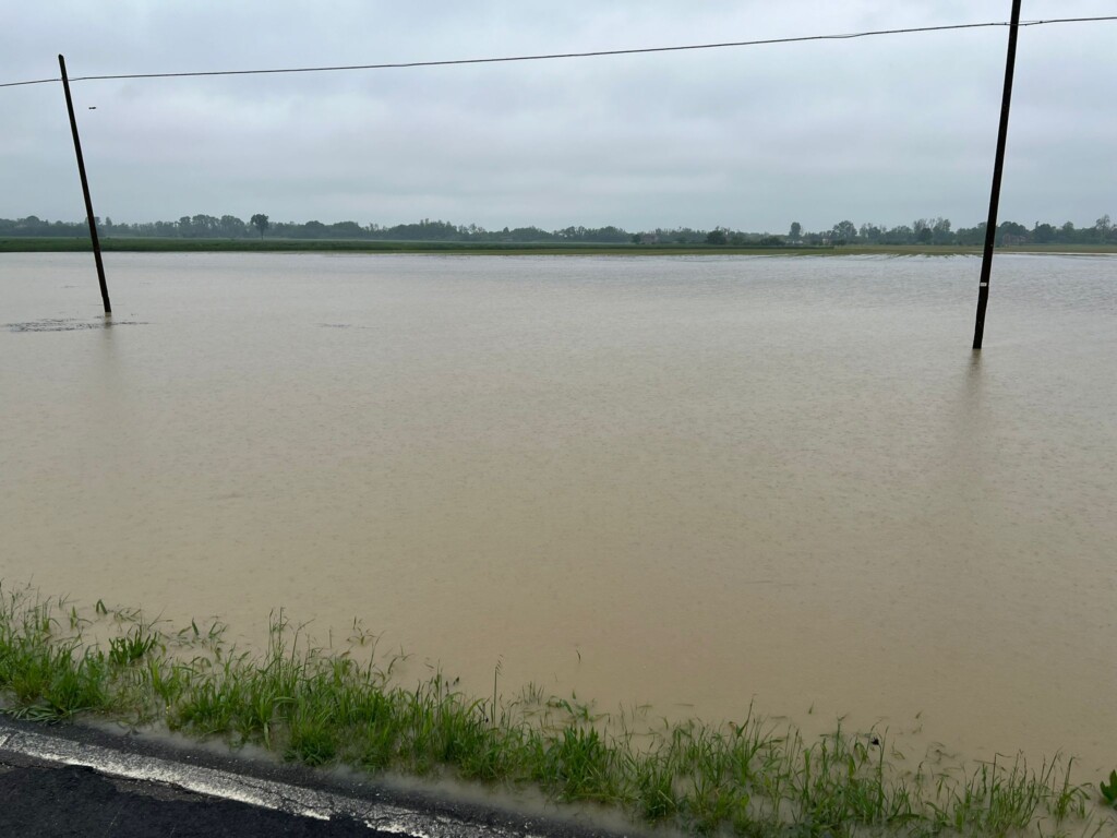 maltempo agricoltura piacenza