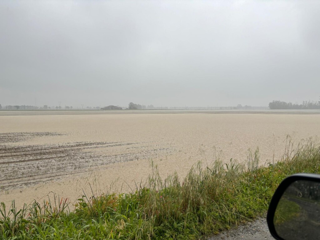 maltempo agricoltura piacenza