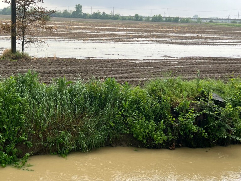 maltempo agricoltura piacenza