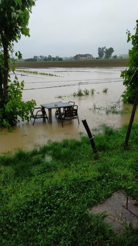 maltempo agricoltura piacenza