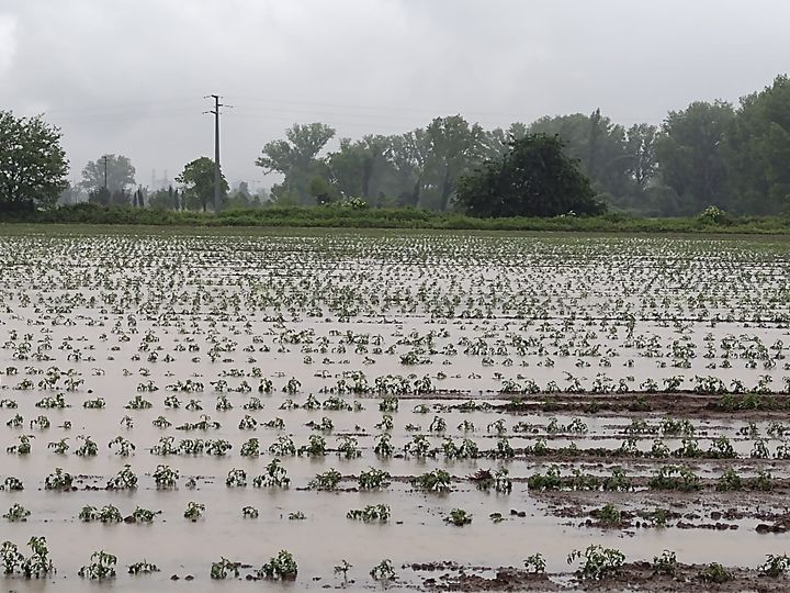 maltempo campi agricoltura