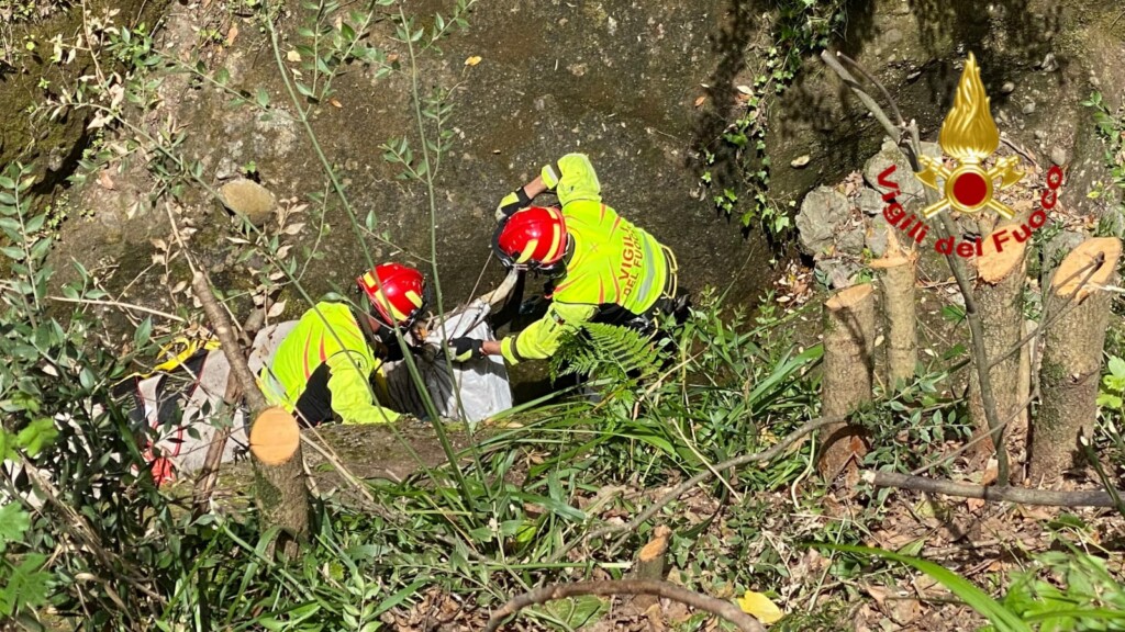 mucca dirupo calabria