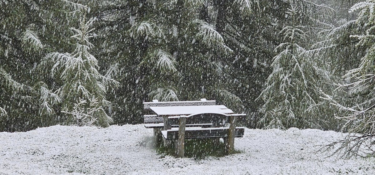 neve oggi livigno