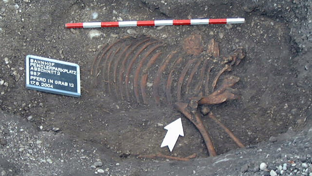 sepoltura madre-figlia austria epoca romana