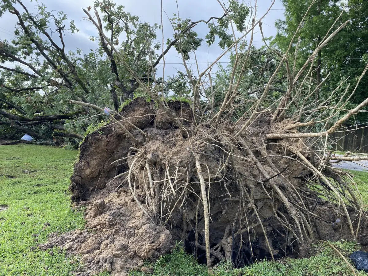 tornado louisiana